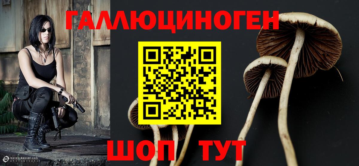 Галлюциногенные грибы мухоморы  Вход с VPN  Псилоцибиновые грибы прущие грибы  Артём 